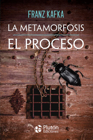 LA METAMORFOSIS (El proceso)
